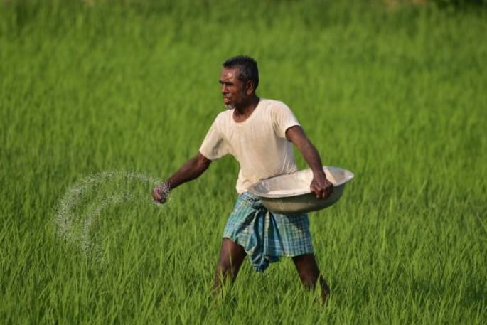 Farmers are getting fertilizers easily