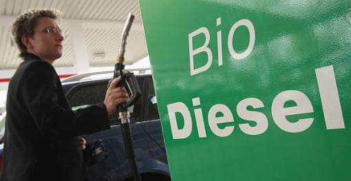 World Biofuel Day