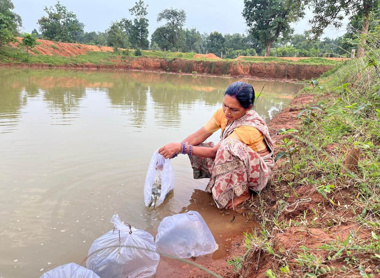 Masulpani Panchayat of Kanker to Receive National Water Award