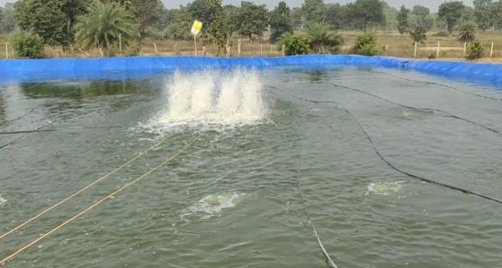 Economic prosperity from fisheries, annual income 5.5 lakh rupees