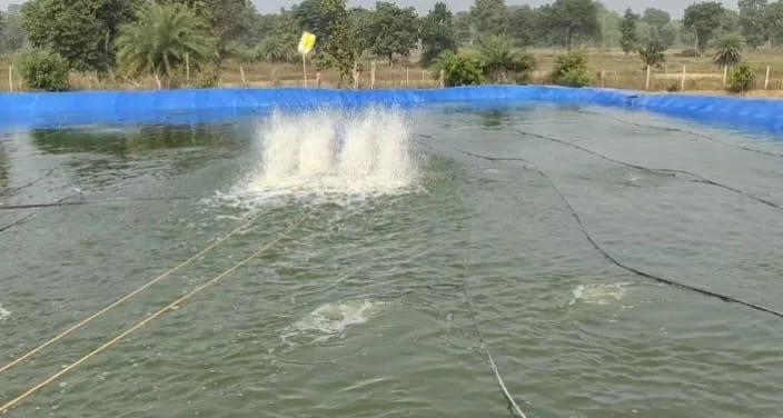 Economic prosperity from fisheries, annual income 5.5 lakh rupees