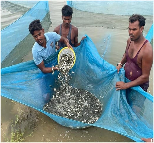 Kanker becomes fish seed hub of Chhattisgarh