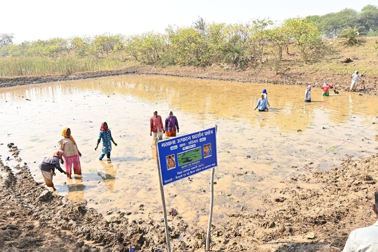 Special article on International Women’s Day: International Women’s Day: Women of Dhamtari district are becoming self-reliant through self-help groups.
