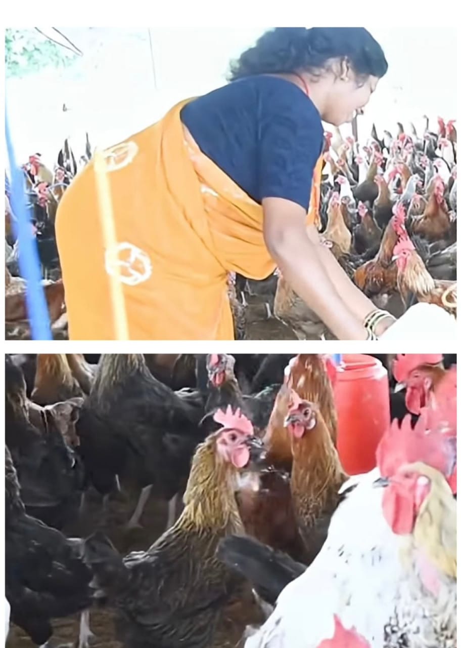 Livelihood Mission changes the picture: Yogeshwari Dewangan of Charra becomes the inspiration for women empowerment