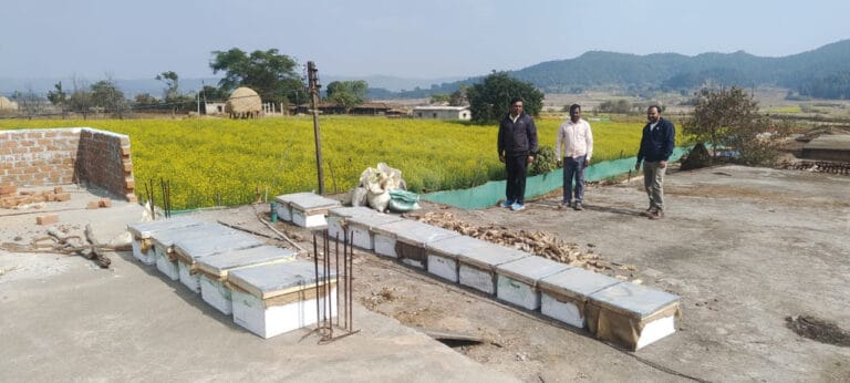  A better option for higher profits at lower costs