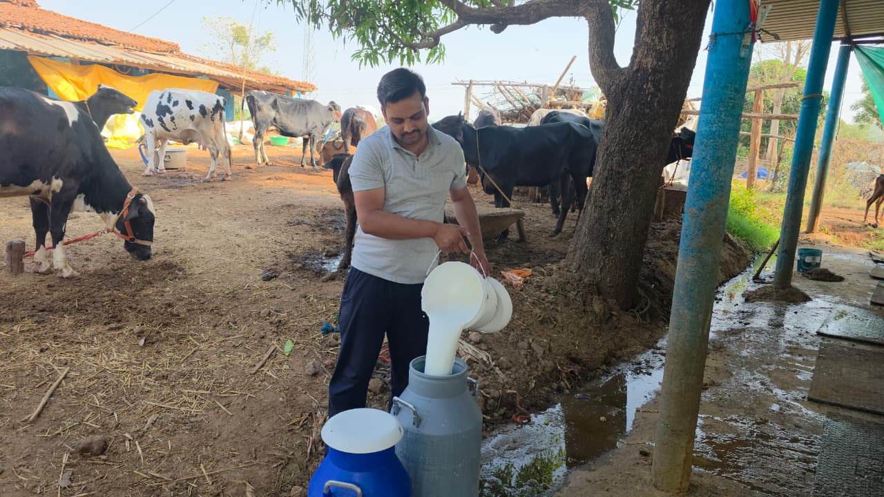  Rajnath Yadav of Surguja has become an example of self-reliance through modern animal husbandry.