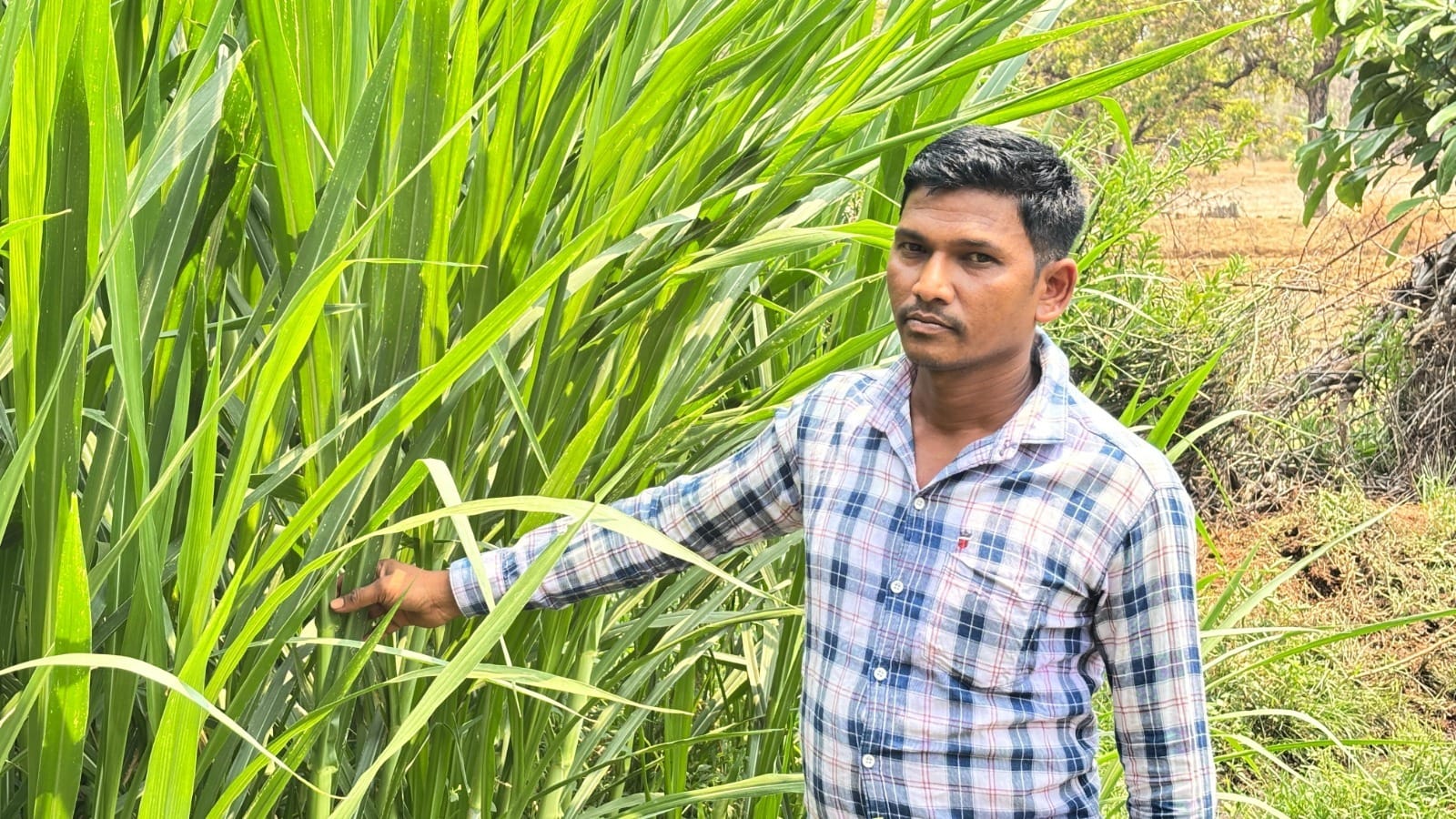 Lalit Yadav broke the shackles of labour and became the hero of ‘ multi-farming ‘.
