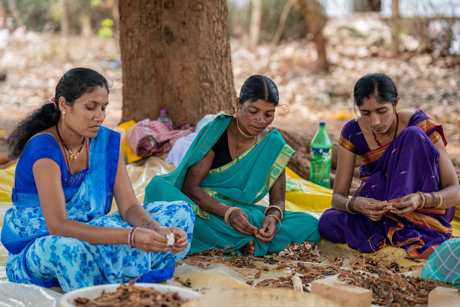 Van Dhan Vikas Kendra is a new step towards self-reliance for the women of the forest region.