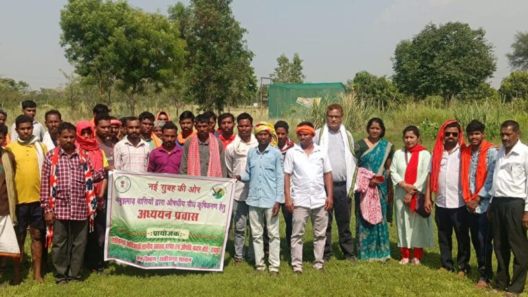 A new dawn of medicinal farming in Abujhmad; no more paddy, but Bach and Brahmi to increase farmers’ income