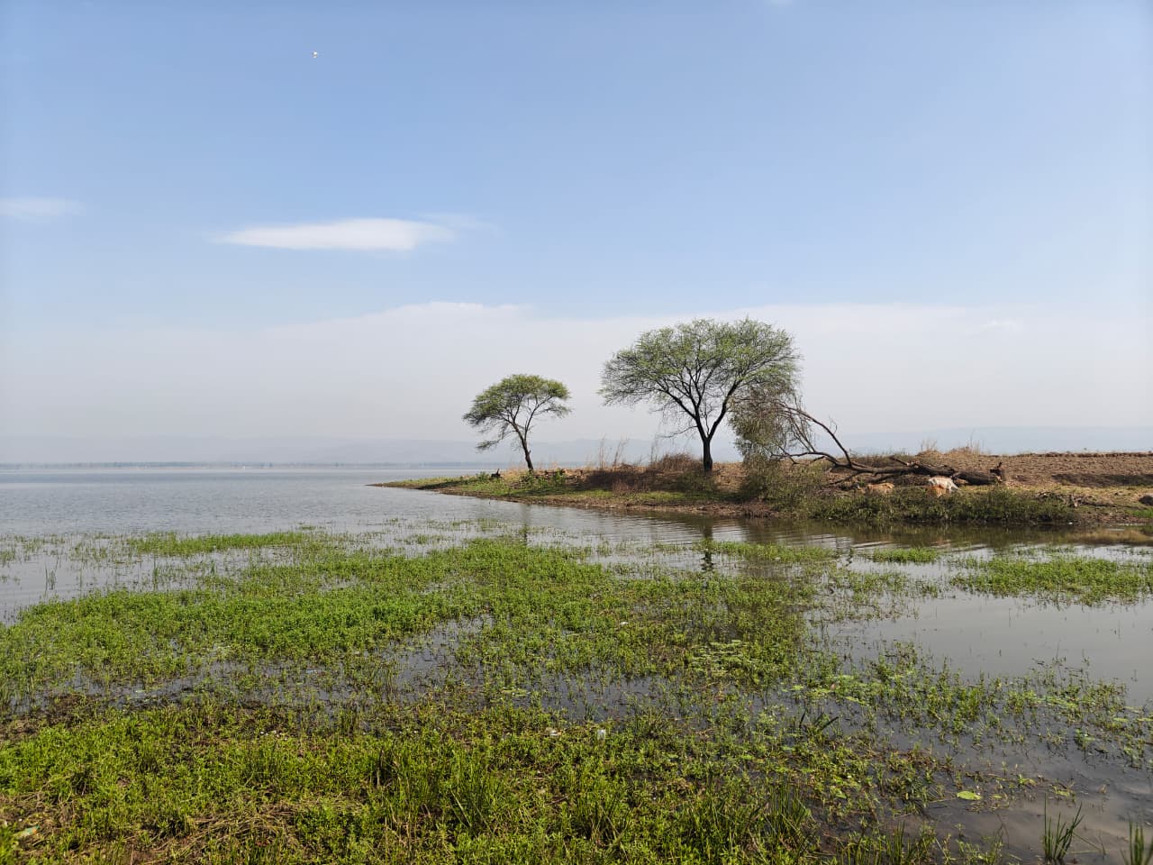 Kopra Reservoir – An ideal eco-tourism spot to be developed with the support of local community and women groups