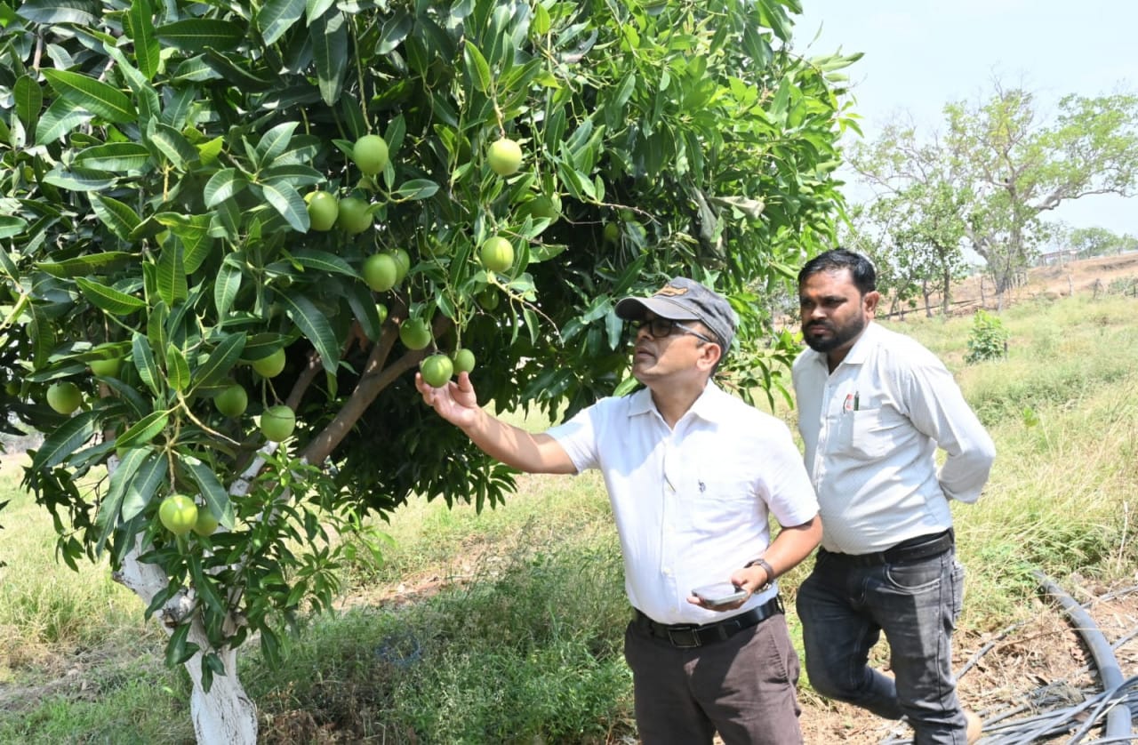 Crop diversification has changed the image of farmer Kunwar Singh Madhukar.