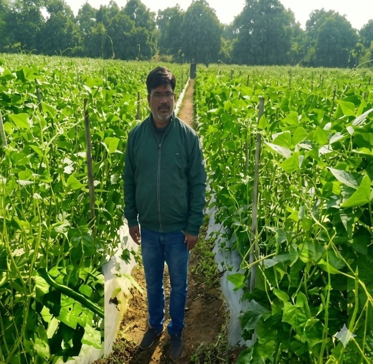  Farmer Mahesh Kashyap’s fortunes changed with modern horticulture techniques