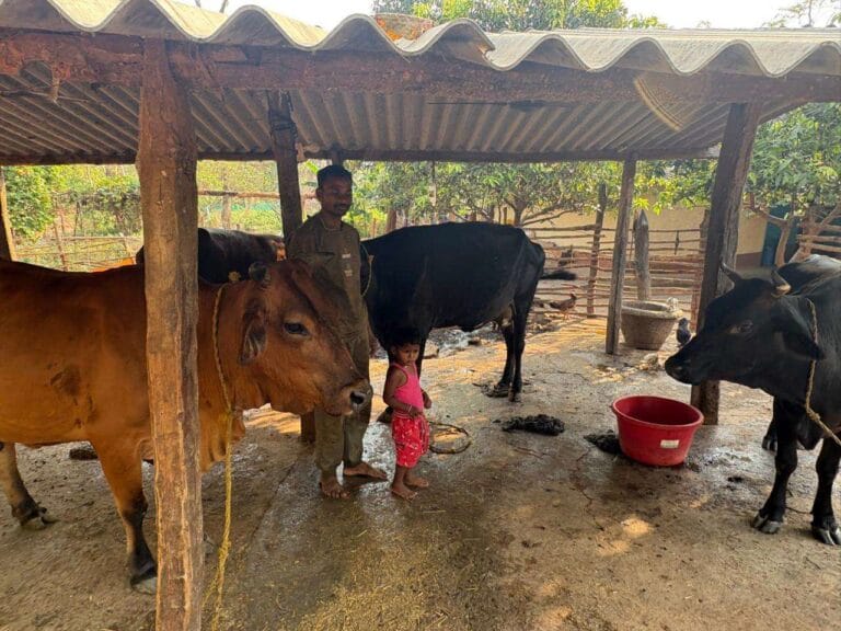 Animal husbandry changed Pyarelal Yadav’s life.