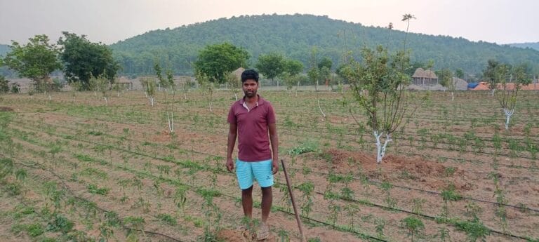 Jashpur apples are changing the fortunes of farmers