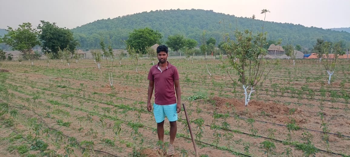 Jashpur apples are changing the fortunes of farmers