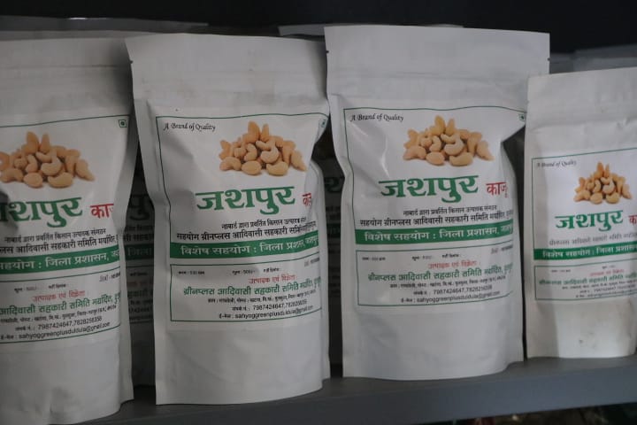 Cashew of Jashpur becomes the new identity of prosperity of farmers