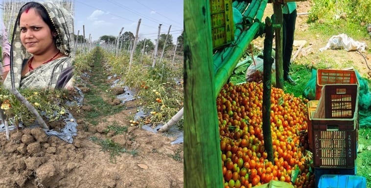 Bihan Yojana changed her fortune: Nidhi Tiwari became ‘Lakhpati Didi’ through animal husbandry and vegetable gardening.