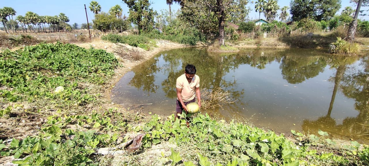 Prosperity from pond: Farmer Vasam Abbaiah becomes self-reliant through fish farming and vegetable production