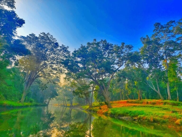 World Environment Day 2026: Chhattisgarh moves towards environmental prosperity through green development, water conservation and public participation
