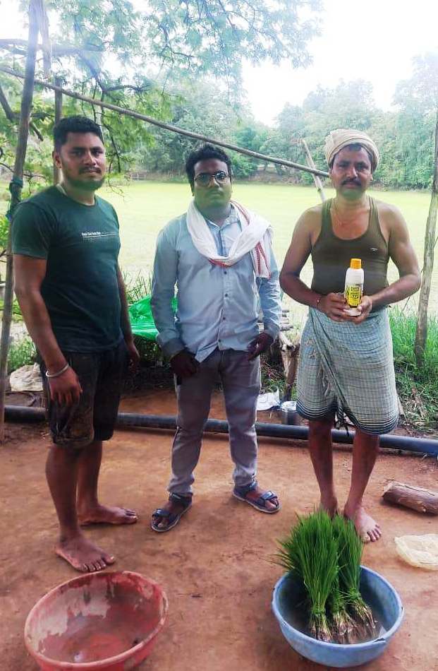 Balanced use of nano fertilizers has increased yields