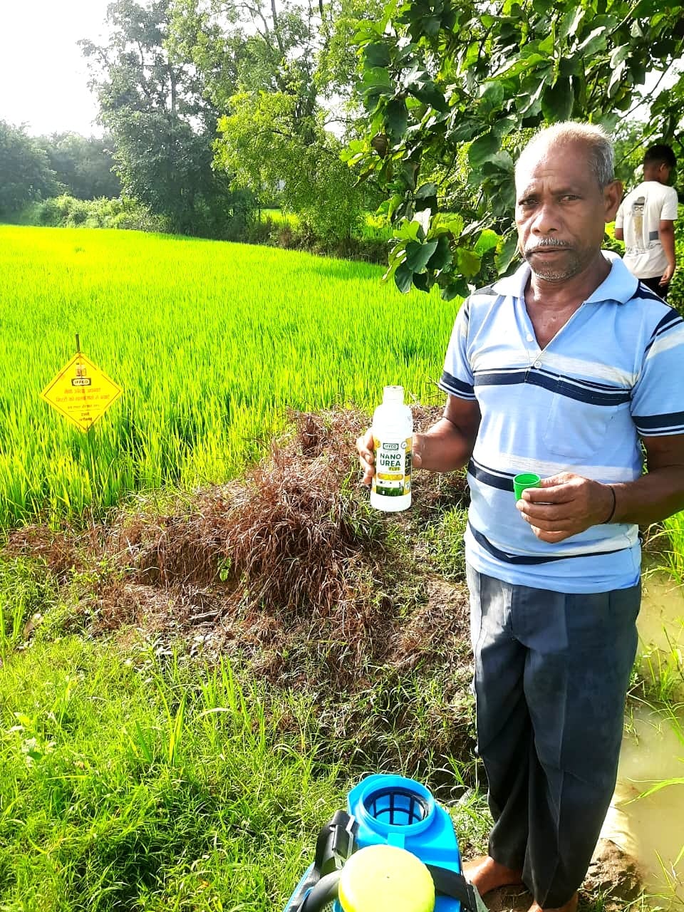  Use of nano fertilizers has increased paddy production and reduced input costs – Farmer Niranjan