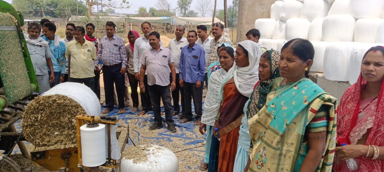 Milk production is a source of additional income for farmers.