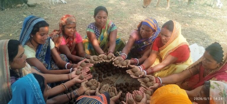 Unique initiative for nature conservation by making seed balls, emphasis on creation of green Jashpur