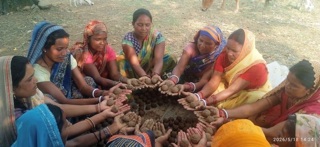 Unique initiative for nature conservation by making seed balls, emphasis on creation of green Jashpur