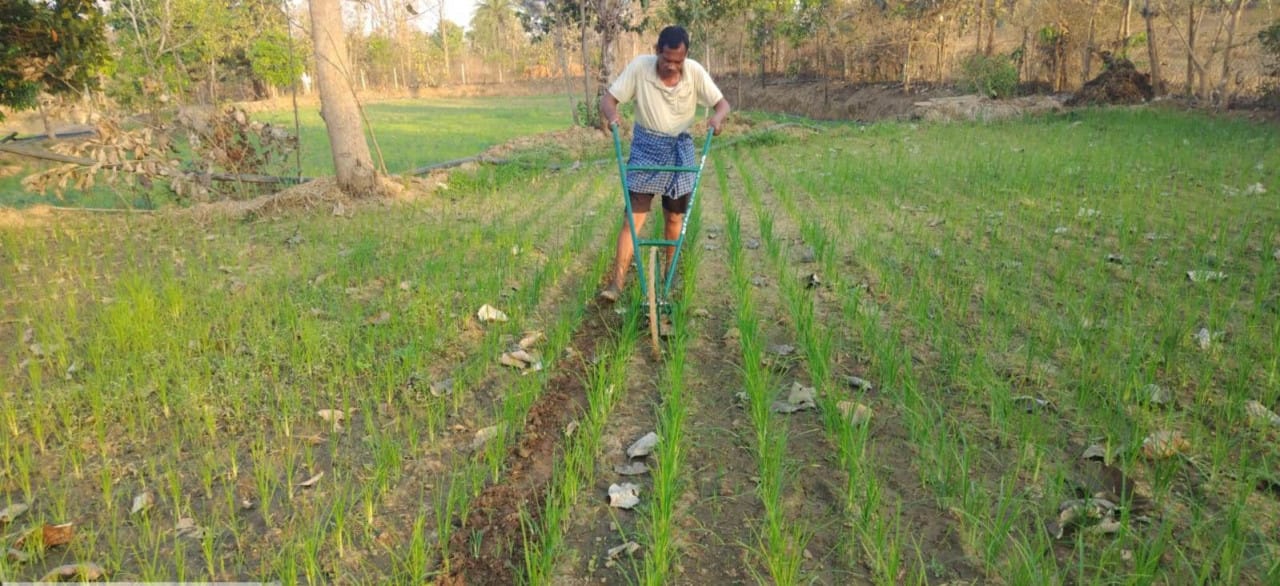  “Khet Bachao Abhiyan” in Dantewada district to promote natural farming and millets