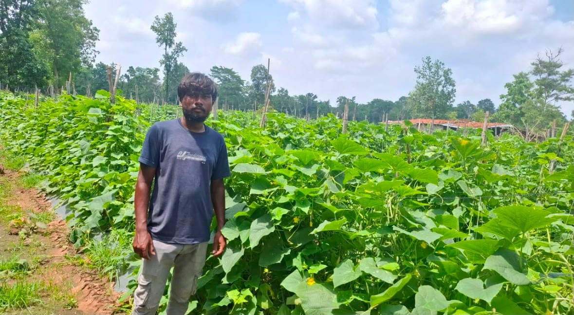  Horticulture Department’s scheme changes Kamar farmer’s fortunes