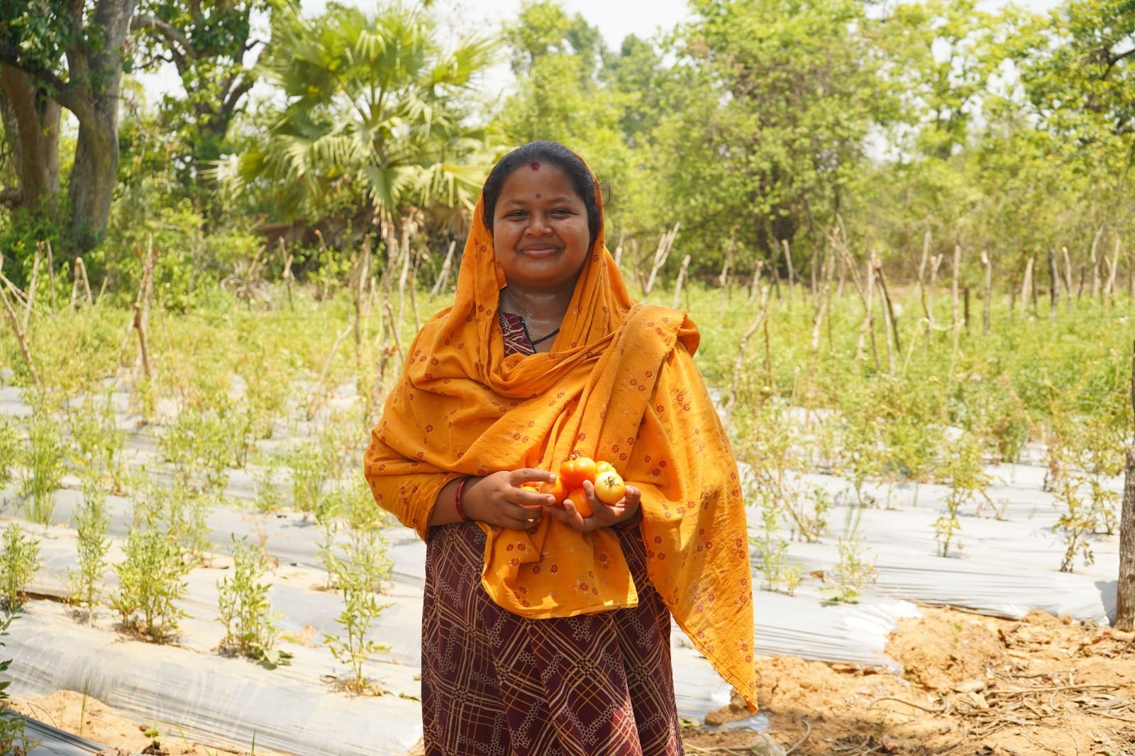 Manisha Nagesh became self-reliant by cultivating vegetables.