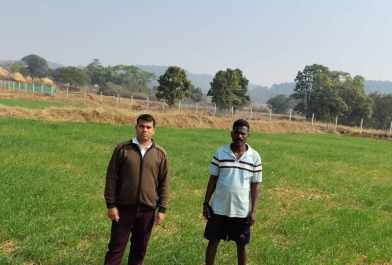  Lower costs, double profits: Jashpur farmer increases income through wheat cultivation