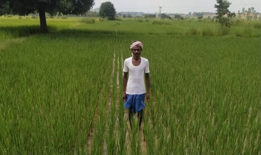 Khagpati changed his farming methods, doubled his income by adopting modern agriculture from traditional agriculture.
