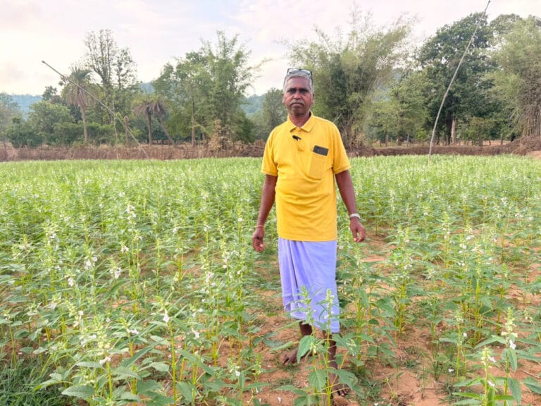 Educated farmer Sonu Ram has created a new chapter of success through organic farming.