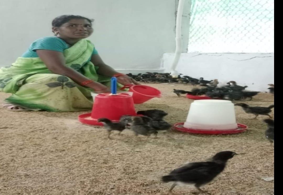 Bihan and advanced poultry farming changed the fate of Narayanpur’s Sunita