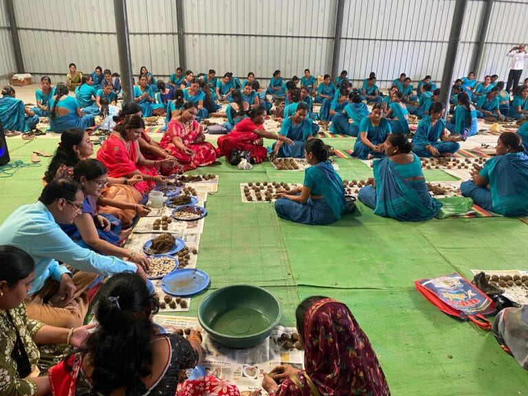 Innovative initiative of self-help groups in Sarangarh under VB-Jiramji, distribution of 30 thousand seed balls