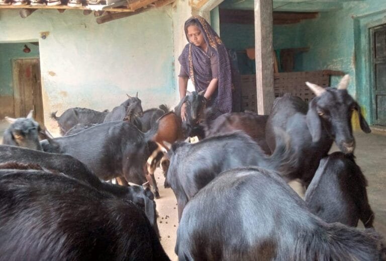 Bihaan changed the fate of Meera Singh, goat rearing became a new example of self-reliance