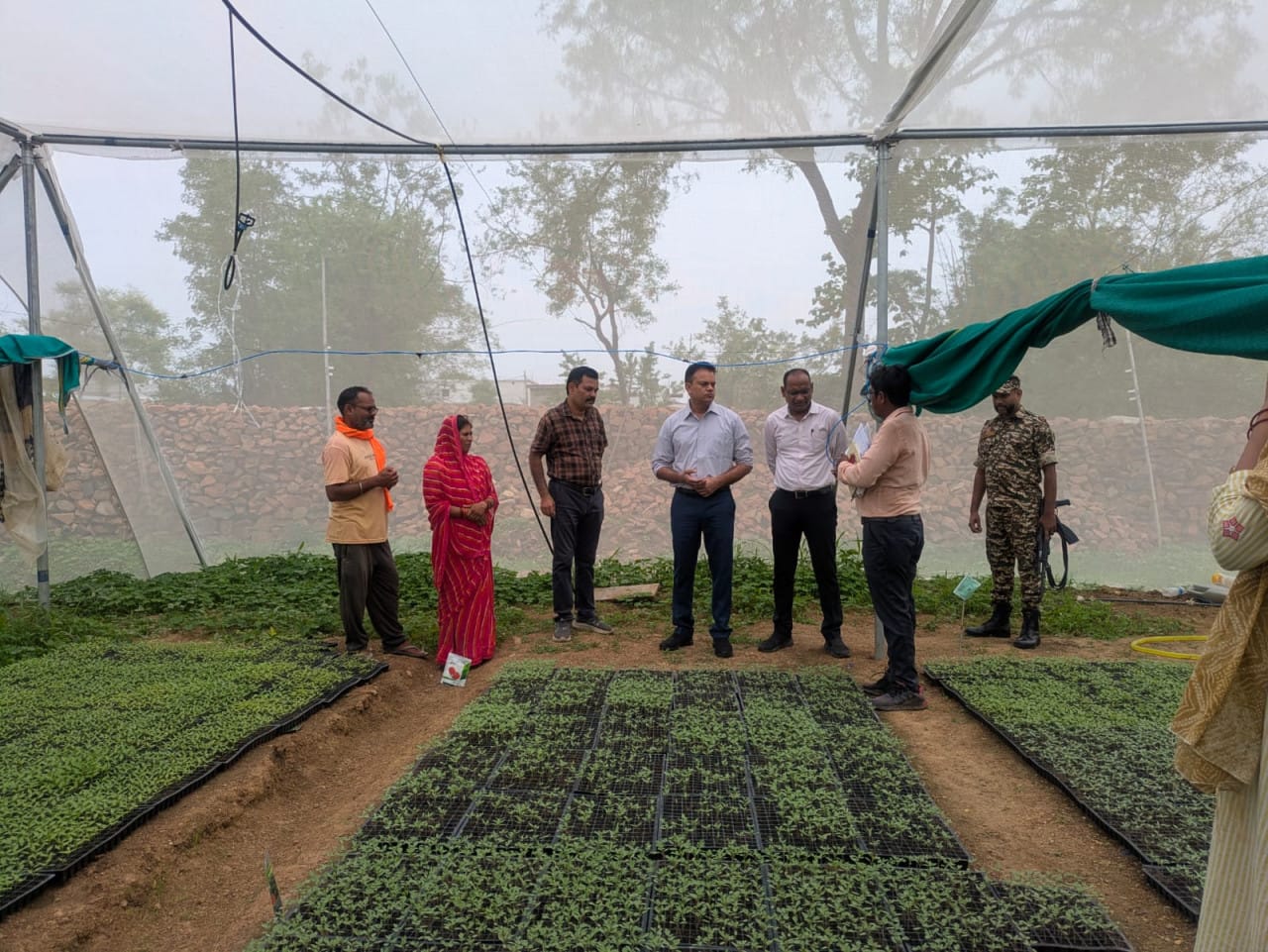 IFC project changed lives: Nursery entrepreneur became a new identity of self-reliance