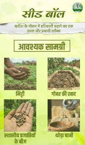 Seed Ball Campaign – A simple and effective way to increase greenery