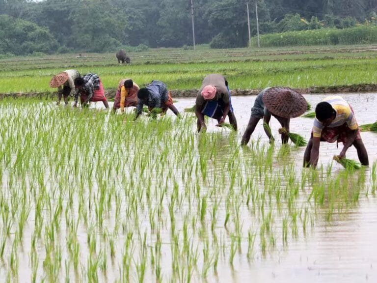 Farming is in full swing in the state