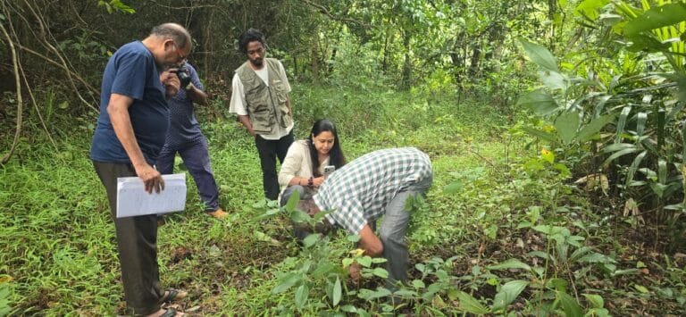 Chhattisgarh Launches Statewide Scientific Documentation of Traditional Medicinal Knowledge and Ethnobotanical Heritage