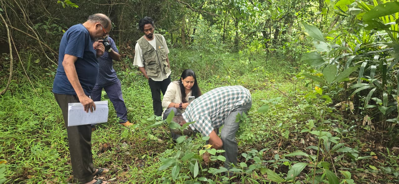 Chhattisgarh Launches Statewide Scientific Documentation of Traditional Medicinal Knowledge and Ethnobotanical Heritage
