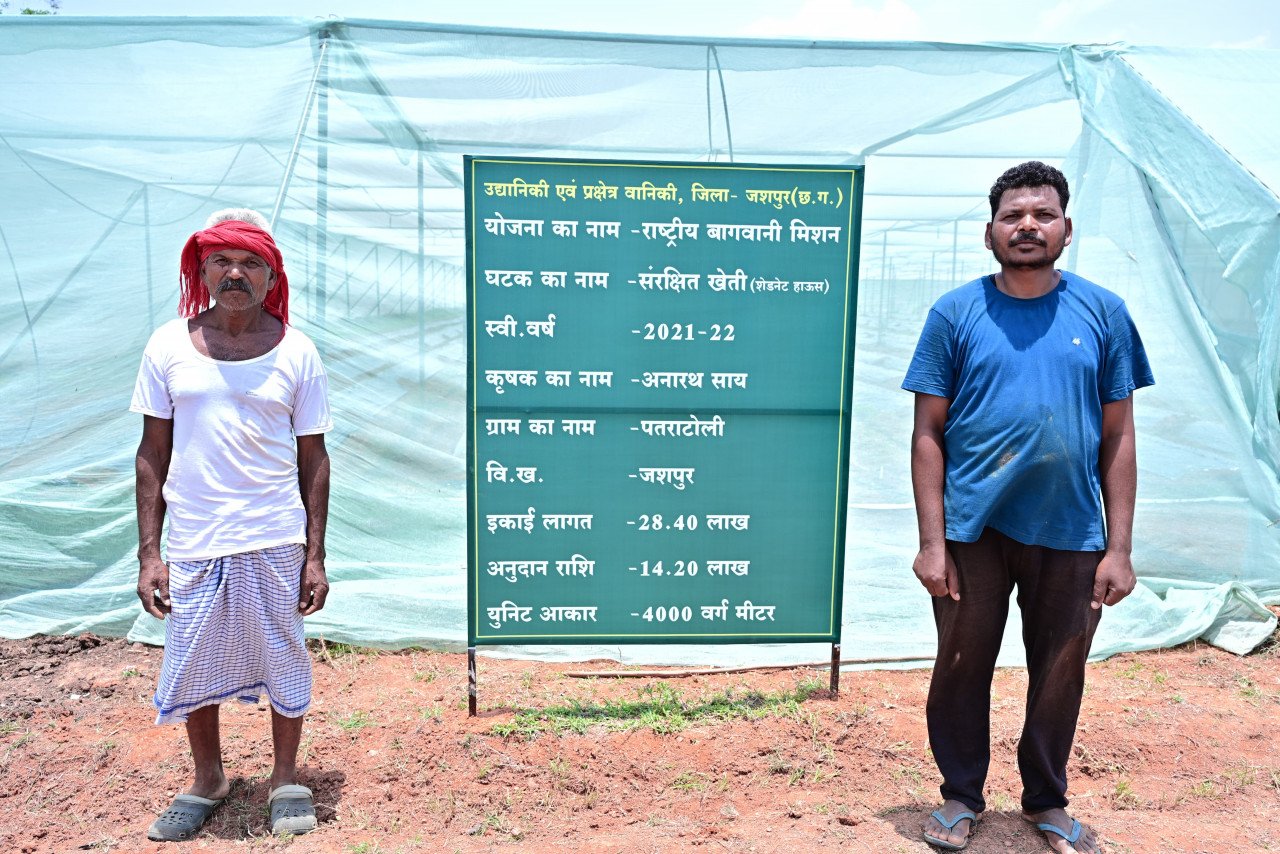 Jashpur farmer Anarath Sai has written a new story of self-reliance through protected farming and horticulture.