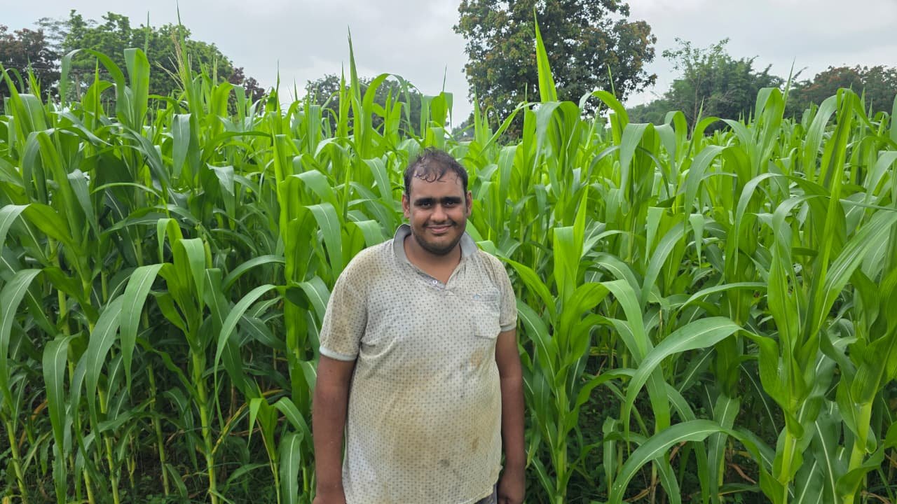 Farmers are getting support from the National Food Security and Nutrition Mission.