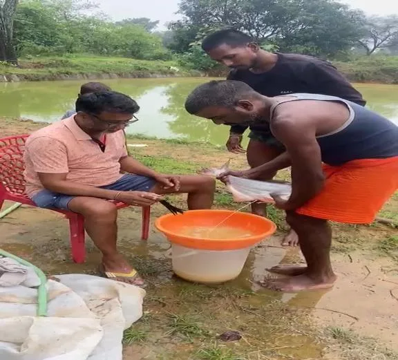From agriculture to fisheries: Arvind Singh sets an example by earning over Rs 8 lakh annually through integrated fish farming