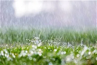 Monsoon in Chhattisgarh-Average rainfall recorded at more than 100%