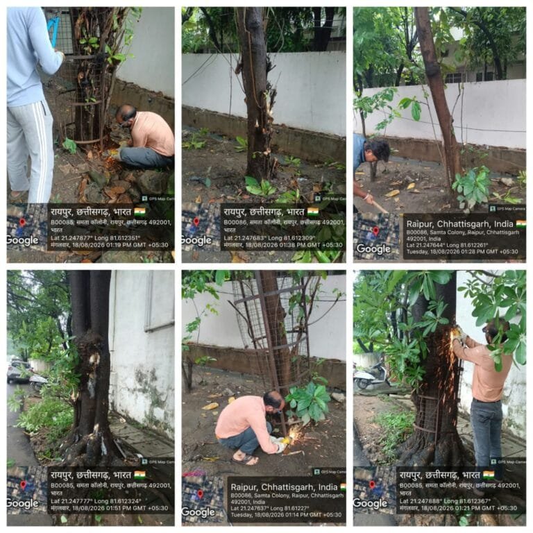 Under ‘Project Punarjeevan’ (Project Rejuvenation), the Raipur Municipal Corporation has—across various zones—removed tree guards from approximately 2,038 locations and concrete enclosures/pavers from around 397 trees; this campaign is progressing continuously.