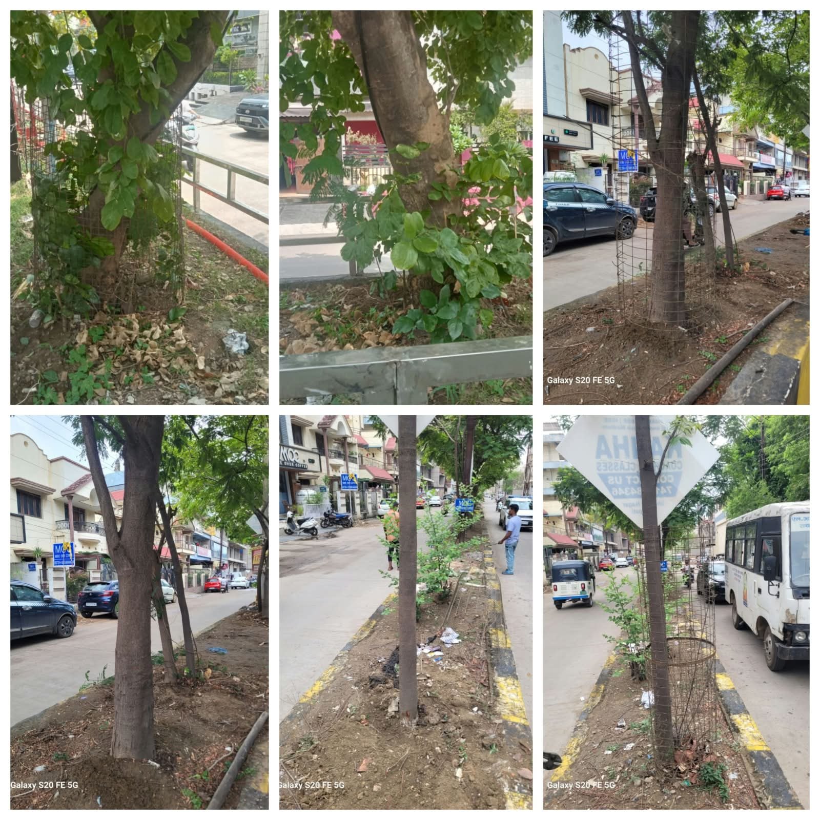 Under ‘Project Punarjeevan’ (Project Rejuvenation), an initiative within the Raipur Municipal Corporation area, 2,302 tree guards and concrete enclosures/pavers surrounding trees have been removed so far; the campaign is progressing rapidly and continuously.