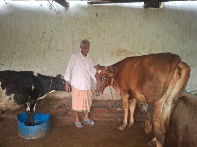 75-year-old Shri Parshuram Gupta bought his first cow from the savings of PM Kisan Samman Nidhi, today he became self-reliant with 10 cows.