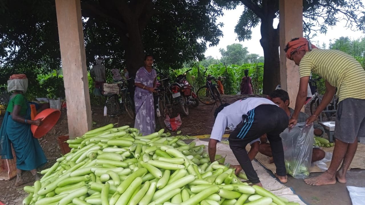 Bihaan changed the course: 35 women farmers wrote a new success story by growing 600 quintals of vegetables.